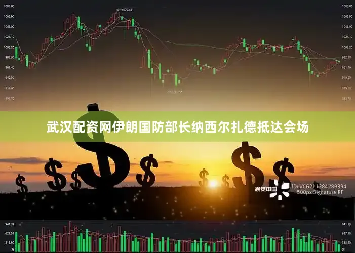 武汉配资网伊朗国防部长纳西尔扎德抵达会场