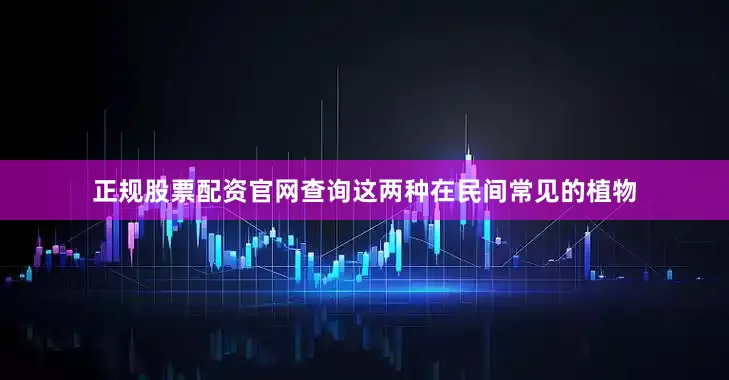正规股票配资官网查询这两种在民间常见的植物