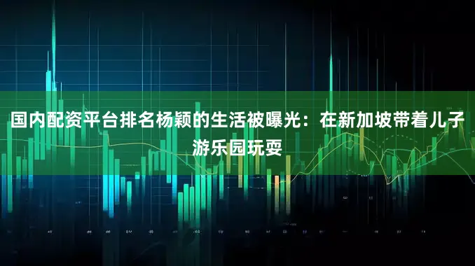 国内配资平台排名杨颖的生活被曝光：在新加坡带着儿子游乐园玩耍