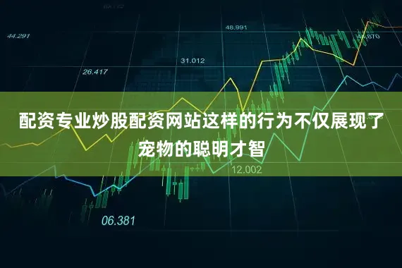 配资专业炒股配资网站这样的行为不仅展现了宠物的聪明才智