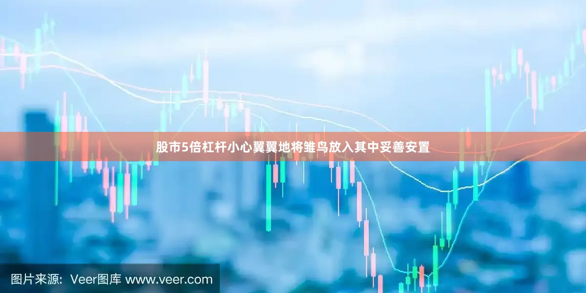 股市5倍杠杆小心翼翼地将雏鸟放入其中妥善安置