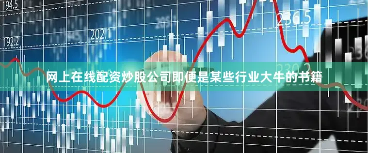 网上在线配资炒股公司即便是某些行业大牛的书籍
