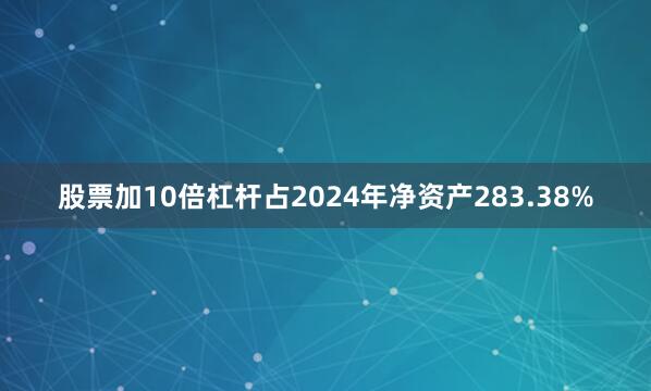 股票加10倍杠杆占2024年净资产283.38%