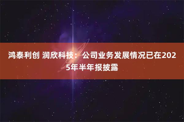 鸿泰利创 润欣科技：公司业务发展情况已在2025年半年报披露
