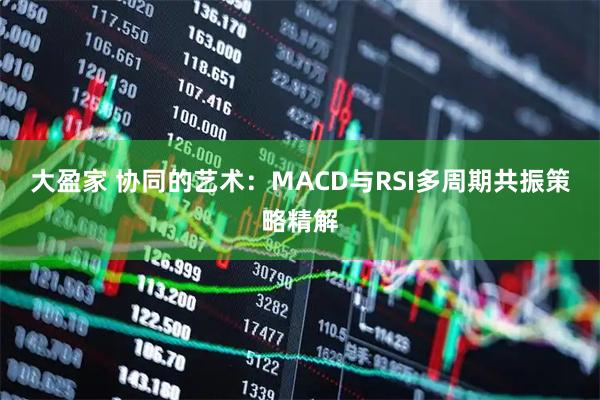 大盈家 协同的艺术：MACD与RSI多周期共振策略精解